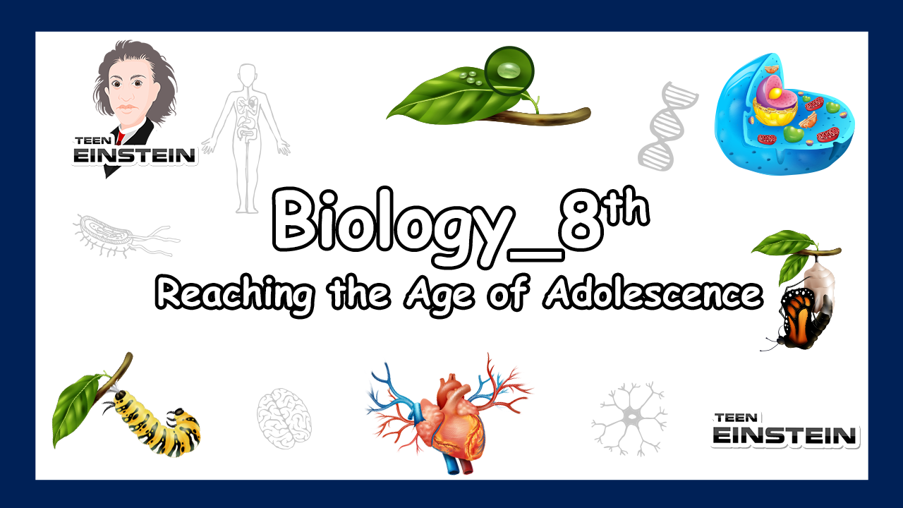 Reaching the Age of Adolescence Reaching the age of Adolescence | questions